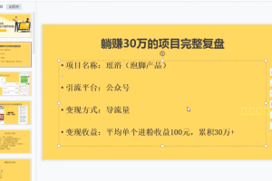 30天打造一台小型yin钞机：躺赚30万的项目完整复盘（视频教程）