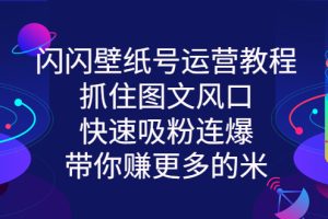 闪闪壁纸号运营教程，抓住图文风口，快速吸粉连爆，带你赚更多的米