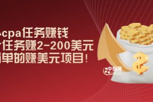 国外cpa任务赚钱：一个任务赚2-200美元，最简单的赚美元项目！