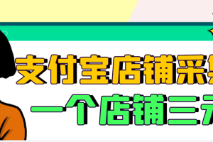 【信息差项目】支付宝店铺采集项目，只需拍三张照片，轻松日赚300-500