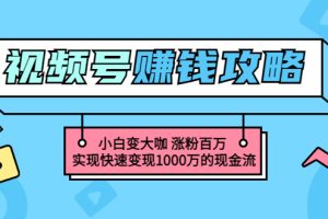 玩转微信视频号赚钱：小白变大咖 涨粉百万 实现快速变现1000万的现金流