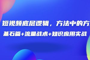 短视频底层逻辑，方法中的方法，基石篇+流量战术+知识应用实战-价值389元