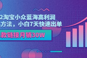 2022淘宝小众蓝海高利润选品方法，小白7天快速出单，单款链接月销30W