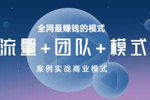 全网最赚钱的模式《流量+团队+模式》案例实战商业模式