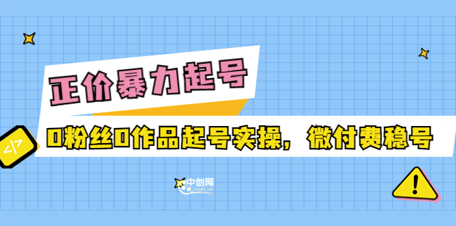 正价暴力起实操号：0粉丝0作品起号实操，微付费稳号（价值1980元）