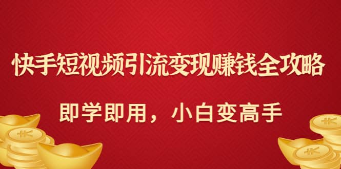 快手短视频引流变现赚钱全攻略：即学即用，小白变高手（价值980元）