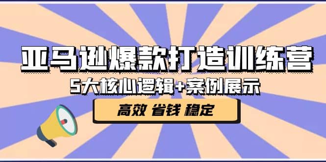 亚马逊爆款打造训练营：5大核心逻辑 案例展示 打造爆款链接 高效 省钱 稳定