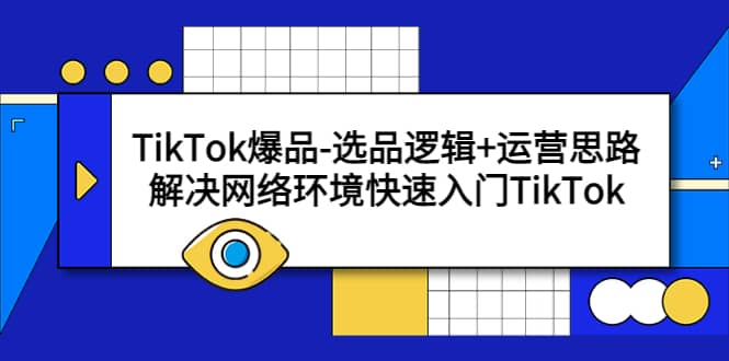 TikTok爆品-选品逻辑 运营思路：解决网络环境快速入门TikTok  电商运营  3小时前  0  0  9.9