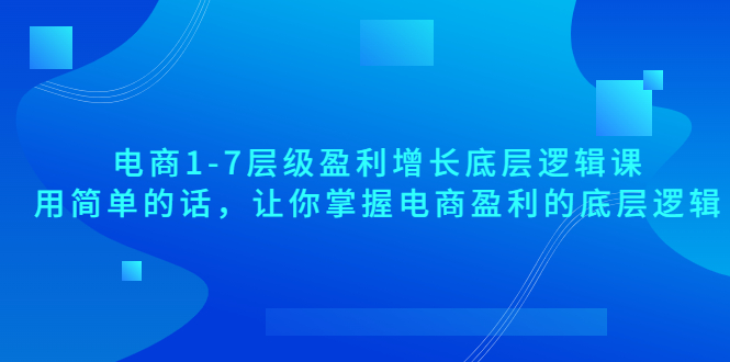 电商1-7层级盈利增长底层逻辑课：用简单的话，让你掌握电商盈利的底层逻辑