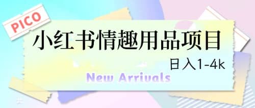 暮沉：最新最火的小红书项目，情趣用品项目，实操效果不必多说