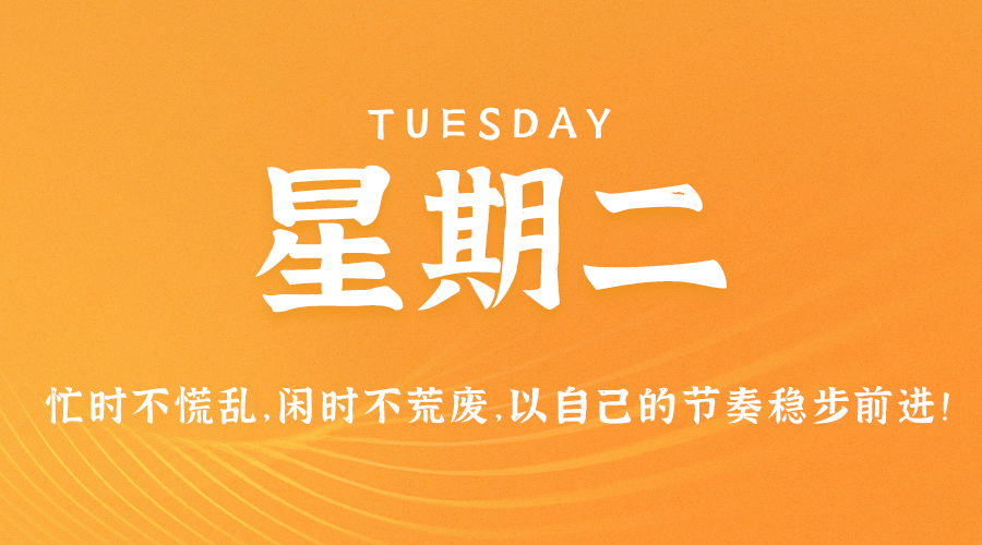 ​8.8每日富人圈信息差：全球融资AI领域占18%，腐败问题触目惊心，1元医美体验只是营销噱头