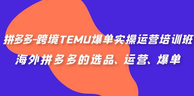 暮沉—拼多多跨境TEMU爆单实操运营培训班：海外选品、运营、爆单指南