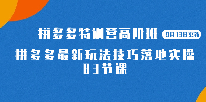 拼多多特训营高阶班：从起店到投产的完整指南，拼多多最新玩法技巧落地实操（83节）—暮沉资源站