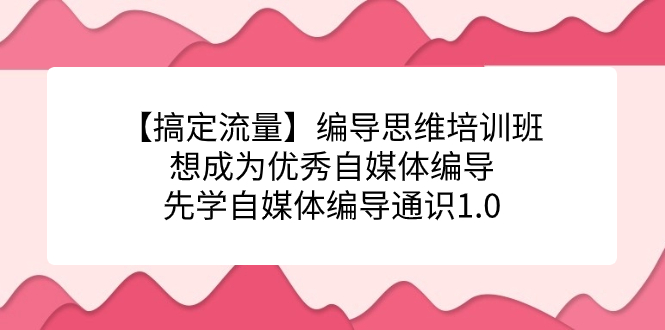 搞定流量：编导思维培训班，成为优秀自媒体编导，掌握关键技能，打造成功账号—暮沉资源站