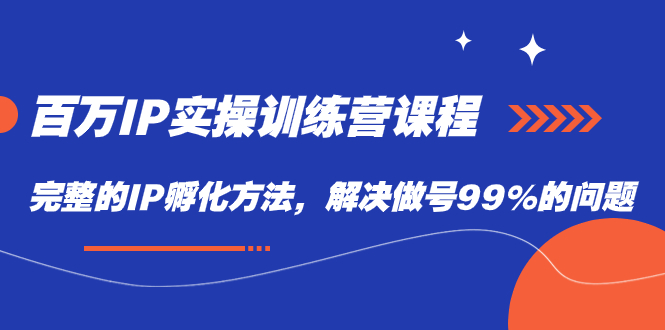 IP孵化实战、百万IP训练营：商业IP之路，从账号策划到直播的完整指南，解决做号99%问题的课程