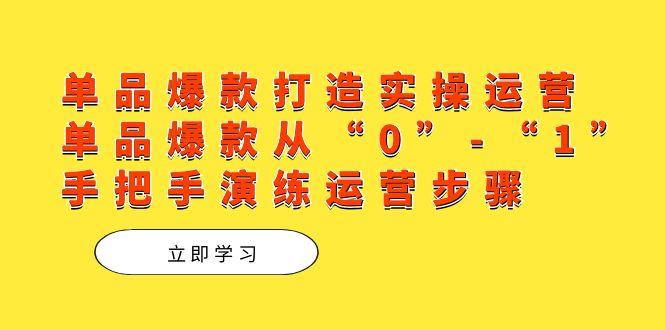 多多付费推广必备：多多商家必读，掌握核心逻辑与工具，单品爆款运营，从零到一的实战指南