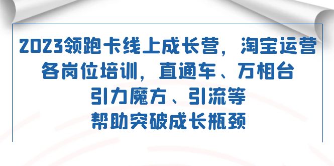 淘宝运营全方位课程，助力流量获取，掌握推广秘籍— 直通车 万相台 引力魔方 引流