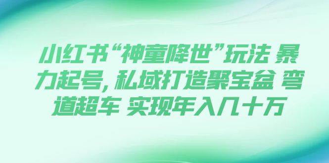 小红书副业项目拆解：小红书“神童降世”玩法：暴力起号，私域打造聚宝盆，0基础玩转育婴法则