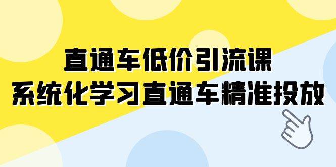 直通车精准投放课程：系统化学习低价引流技巧，权重分析、关键词玩法、拖价策略等全方位指导（13节课）