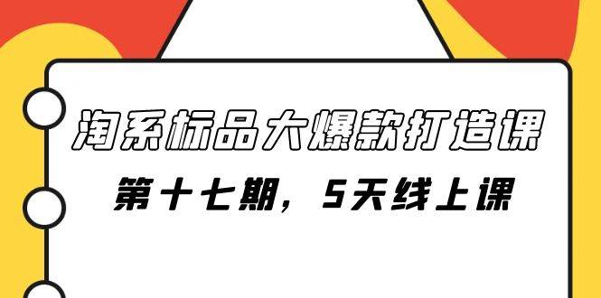 淘系标品大爆款打造课：5天提高打爆款成功率，从分析市场到站外引流的全方位指导—暮沉资源站