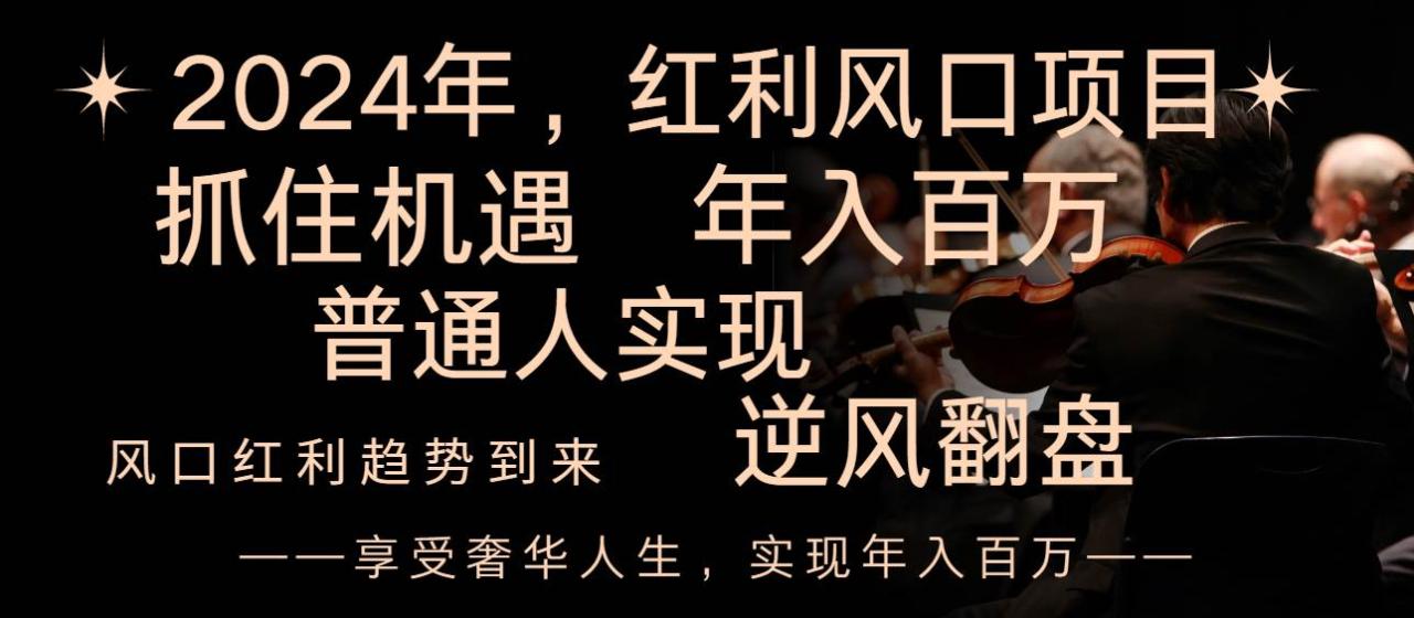 2024红利风口项目：普通人年入百万的机会，2024年最具潜力的项目：享受第一波红利