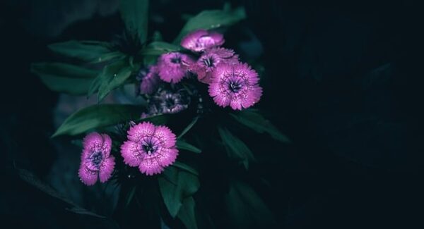 518网赚论坛独家分享：赚钱不再是难事—暮沉网创