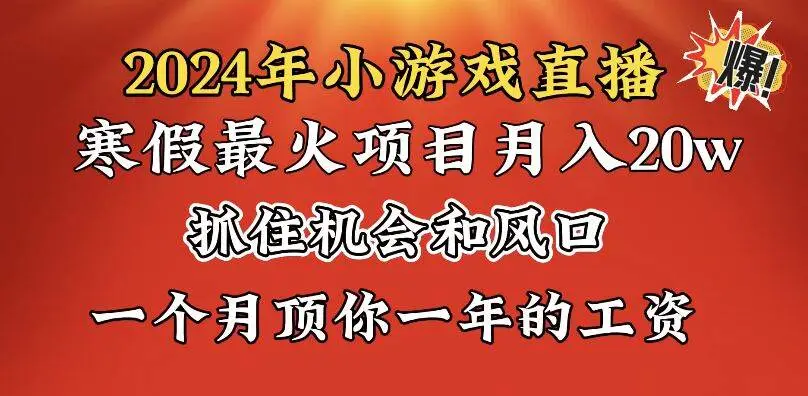 暮沉资源站：2024年寒假爆火项目，小游戏直播月入20w ，学会了之后你将翻身