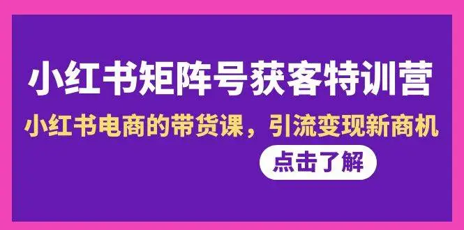 小红书-矩阵号获客特训营-第10期，小红书电商的带货课，引流变现新商机