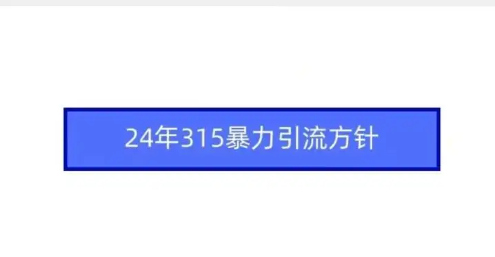 2024年315暴力引流方针