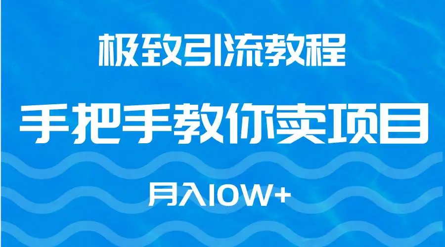 极致引流教程，手把手教你卖项目，月入10W+