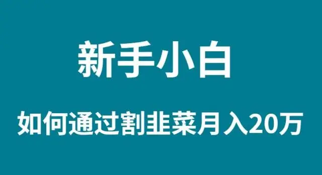 暮沉资源站：新手小白如何通过割韭菜月入 20W