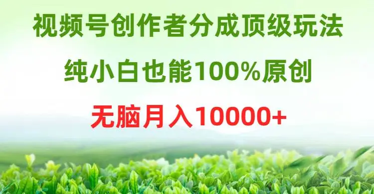 视频号创作者分成计划顶级玩法，纯小白也能100%原创，无脑月入10000+