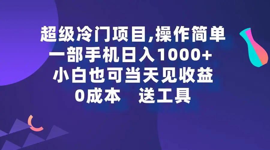 2024年冷门蓝海项目日入1000+：新手副业赚钱攻略，小白手机赚钱法