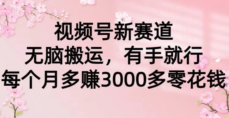 2024年视频号搬运赚钱：月入3000+零花钱，兼职轻松搬运赚外快