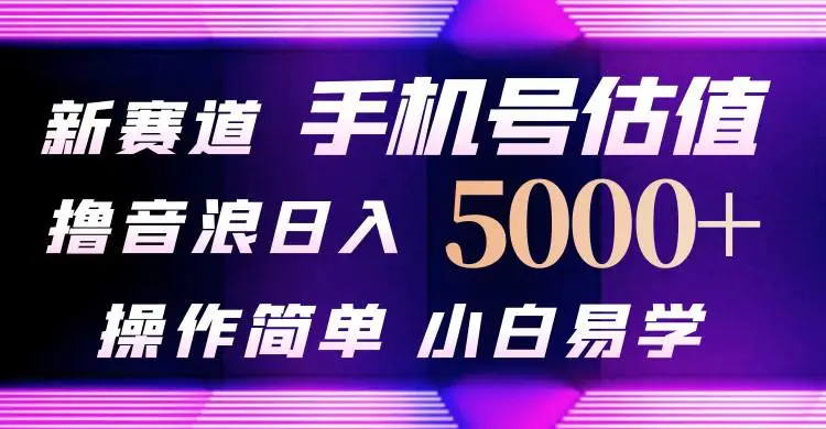 抖音直播赚钱：手机号估值项目，新撸音浪技巧，日入5000+