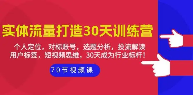 实体-流量打造-30天训练营：个人定位，对标账号，选题分析，投流解读-70节