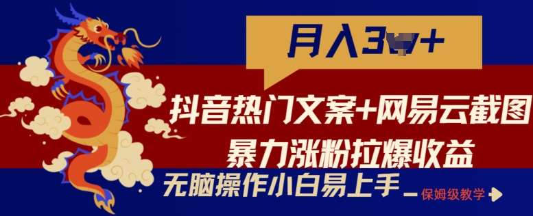 网易云截图+抖音热门文案项目教程：抖音快速涨粉与矩阵变现，无脑操作保姆级教程