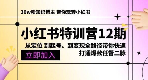 小红书特训营12期：从定位 到起号、到变现全路径带你快速打通爆款任督二脉