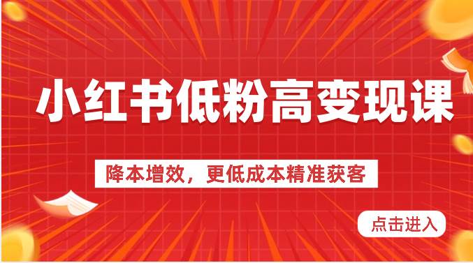 小红书低粉高变现课-降本增效，更低成本精准获客，小红书必爆的流量密码