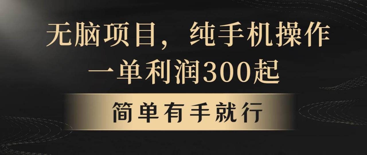 无脑项目，一单几百块，轻松月入5w+，看完就能直接操作