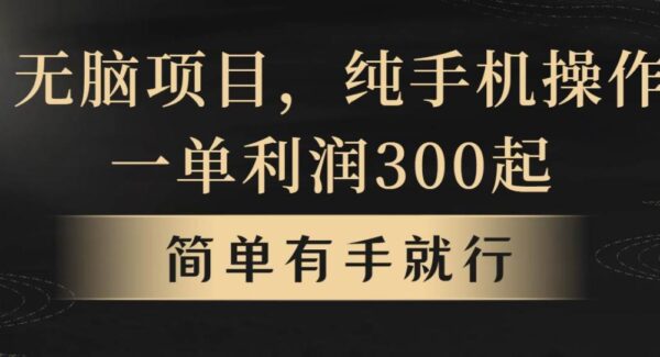 无脑项目，一单几百块，轻松月入5w+，看完就能直接操作