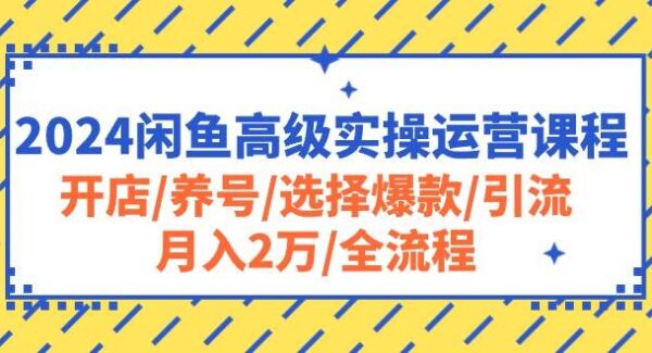 2024闲鱼高级实操运营课程：开店/养号/选择爆款/引流/月入2万/全流程