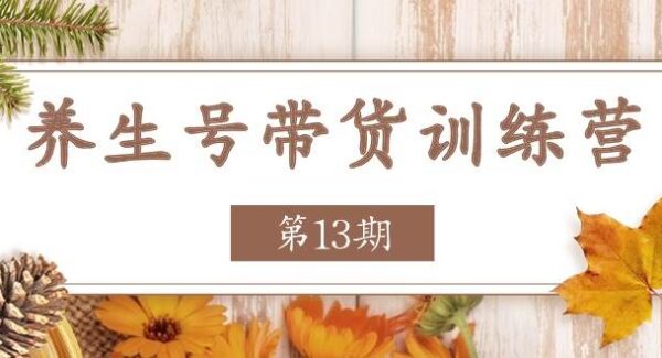 暮沉-第13期养生号带货项目教程：稳定提升你的销售收益策略