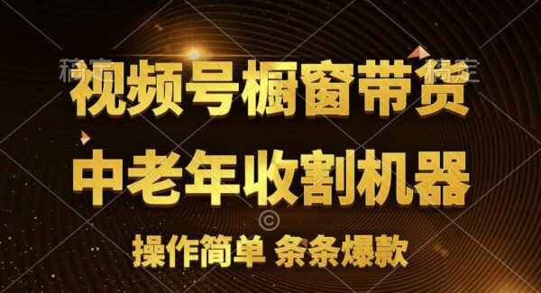 [你的孩子成功取得高位]视频号最火爆赛道，橱窗带货，流量分成计划