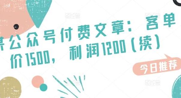 某公众号付费文章：客单价1500，利润1200(续)，市场几乎可以说是空白的