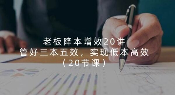 老板降本增效20讲，管好三本五效，实现低本高效（20节课）