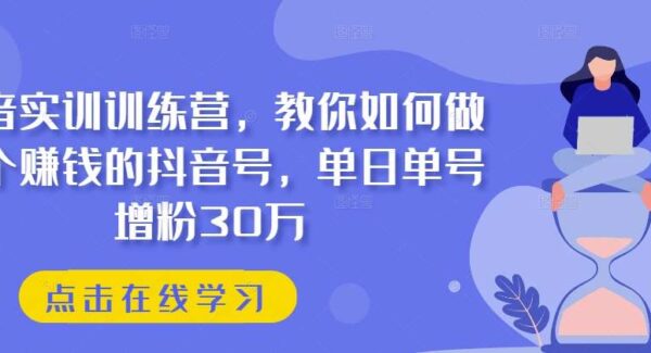 抖音实训训练营，教你如何做一个赚钱的抖音号，单日单号增粉30万