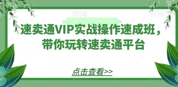 速卖通VIP实战操作速成班，带你玩转速卖通平台