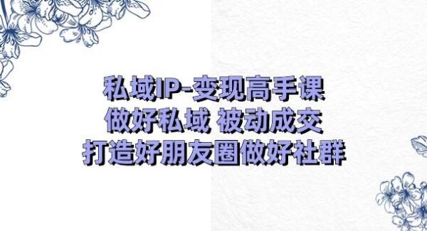 私域IP-变现高手课：做好私域 被动成交，打造好朋友圈做好社群（18节）