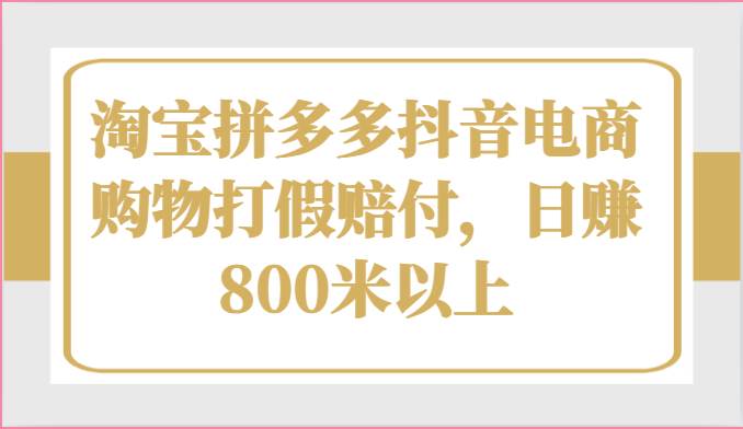 电商购物打假赔付项目教程：淘宝、拼多多、抖音等，日赚800以上